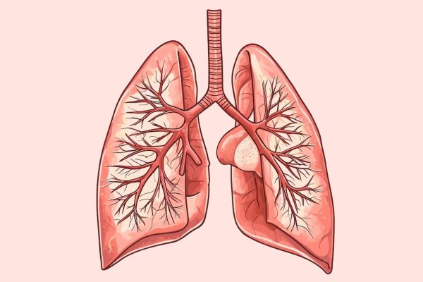 7 Cara Alami Menguatkan Paru-paru Anda