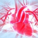 7 Fakta Menarik Tentang Hati yang Perlu Anda Ketahui