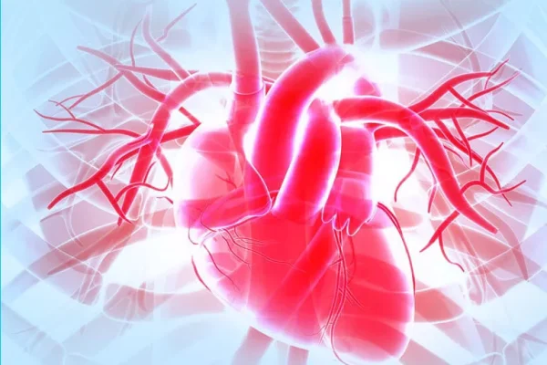 7 Fakta Menarik Tentang Hati yang Perlu Anda Ketahui 7 Fakta Menarik Tentang Hati yang Perlu Anda Ketahui