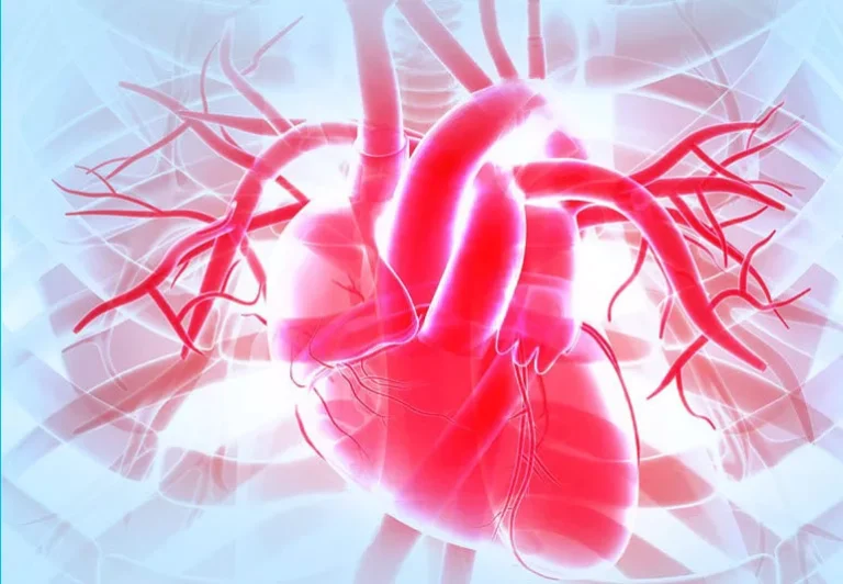 7 Fakta Menarik Tentang Hati yang Perlu Anda Ketahui