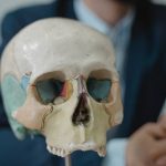 10 Fakta Penting tentang Tulang Tengkorak yang Jarang Diketahui
