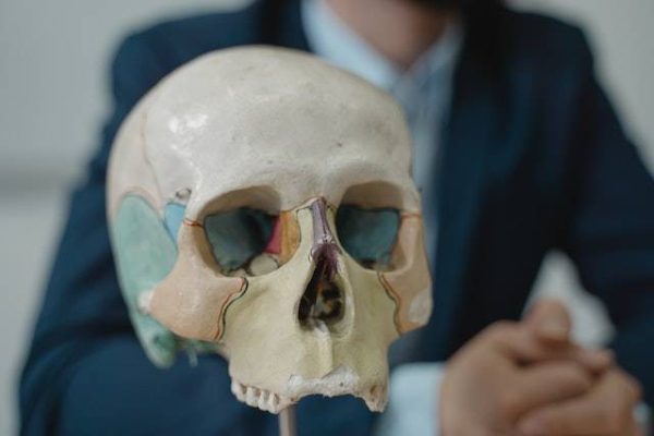 10 Fakta Penting tentang Tulang Tengkorak yang Jarang Diketahui