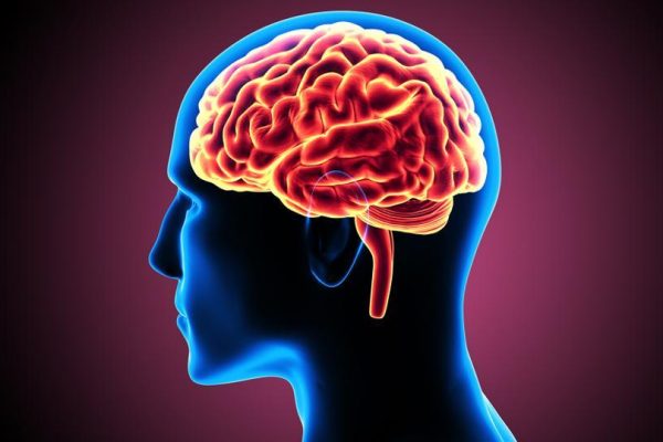 7 Tips Menjaga Pembuluh Darah Otak Tetap Sehat