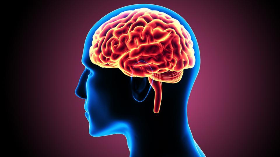 7 Tips Menjaga Pembuluh Darah Otak Tetap Sehat